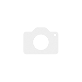 AMD Ryzen 5 7600X AM5 4.7GHz CPU 100-000000593