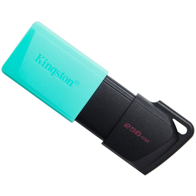 Kingston DataTraveler Exodia M 256GB USB Flash Drive DTXM/256GB (DTXM/256GB)