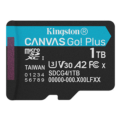 Kingston Canvas Go! Plus microSDXC/s 1TB microSD Memory Card SDCG4/1TB (SDCG4/1TB)